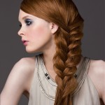 Party Hairstyle 2
